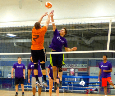 volleyball main volleyball main